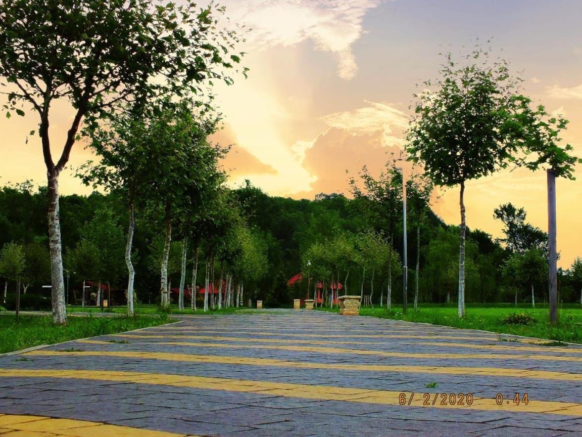 Illara Spa Hotel Irshava Εξωτερικό φωτογραφία