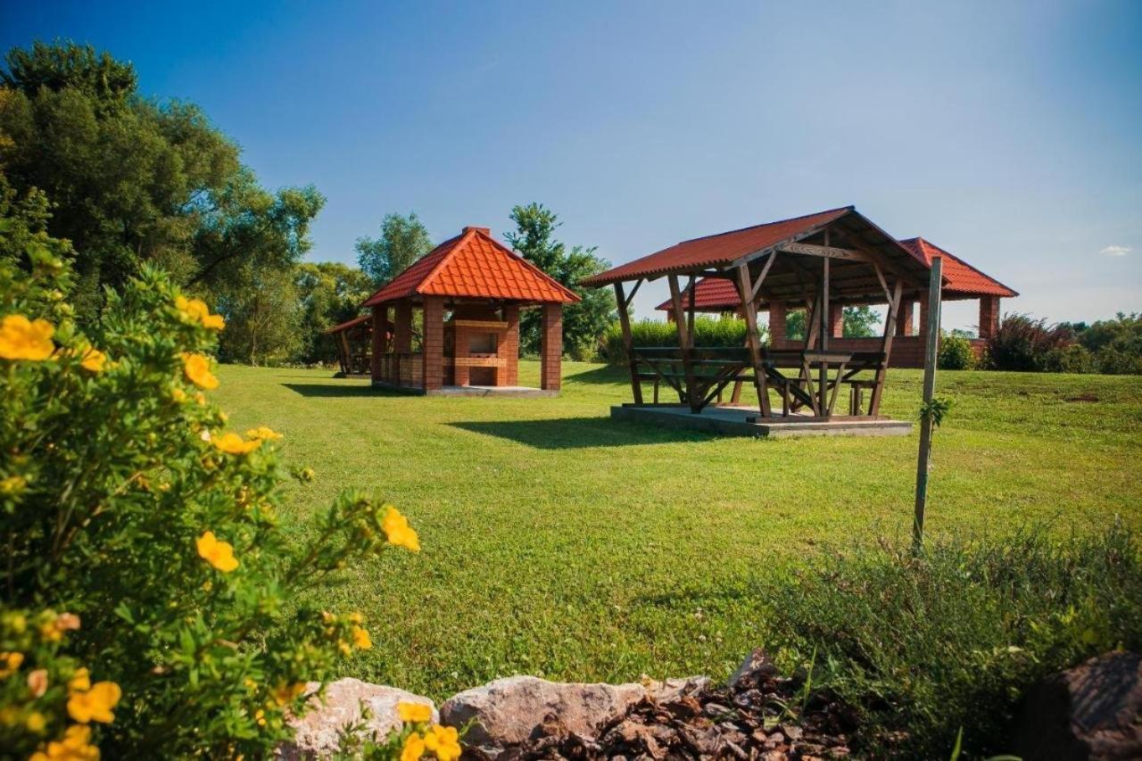 Illara Spa Hotel Irshava Εξωτερικό φωτογραφία