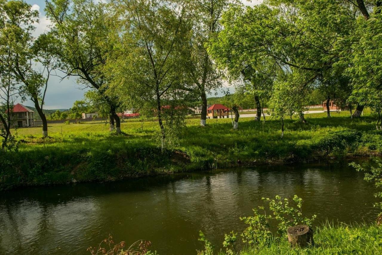 Illara Spa Hotel Irshava Εξωτερικό φωτογραφία
