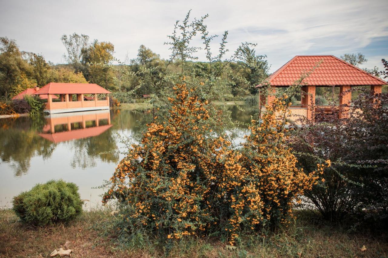 Illara Spa Hotel Irshava Εξωτερικό φωτογραφία
