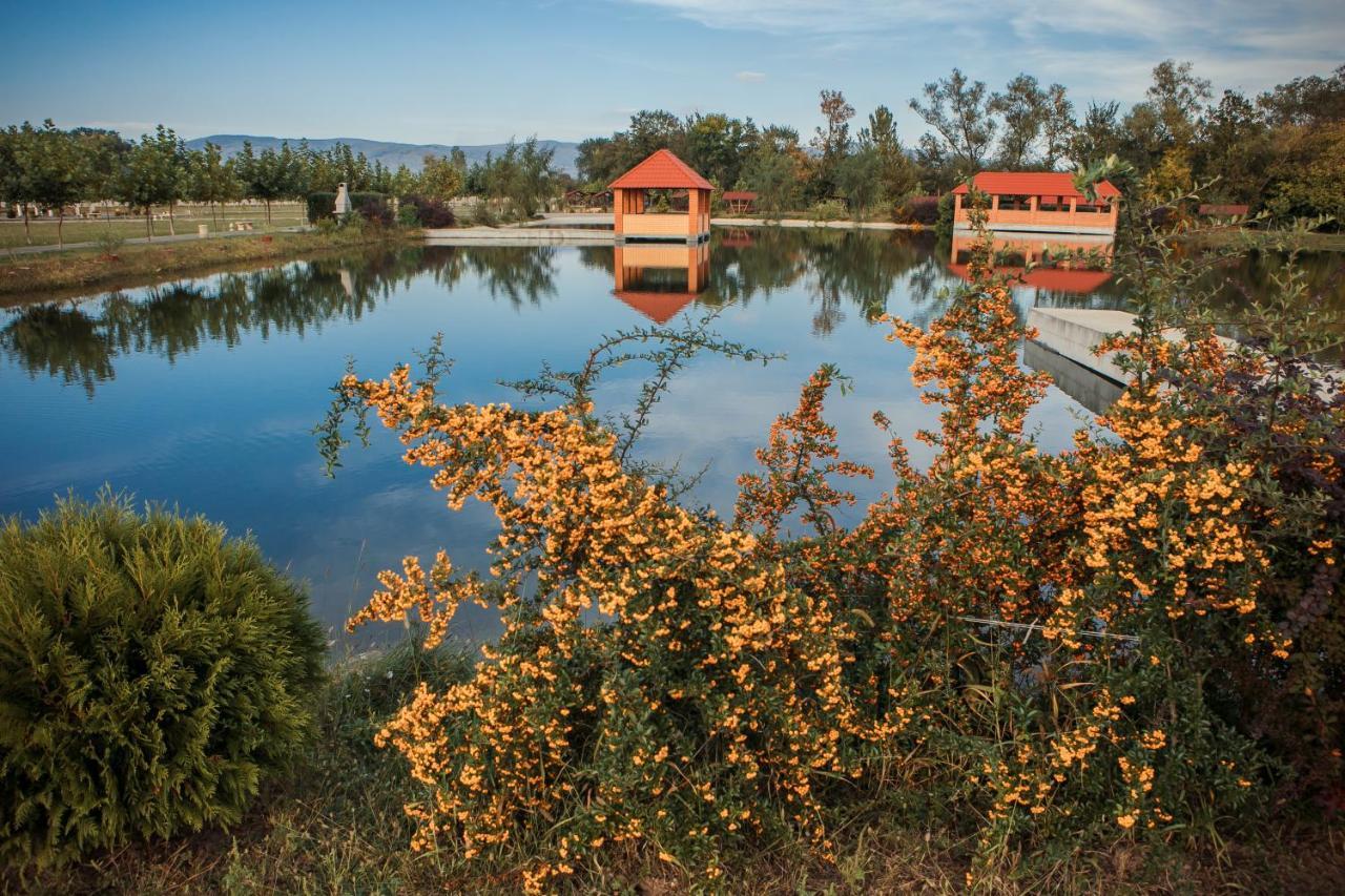 Illara Spa Hotel Irshava Εξωτερικό φωτογραφία